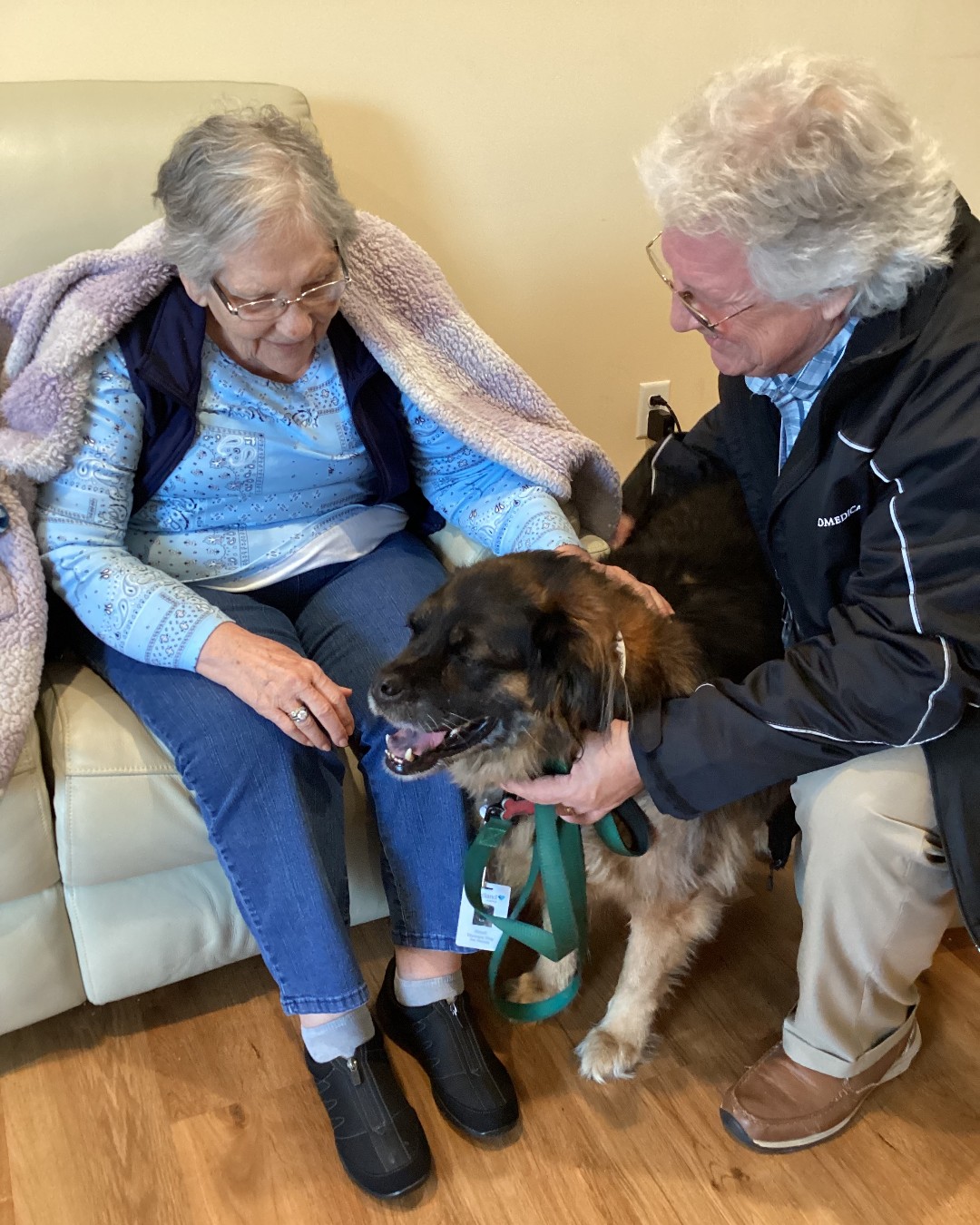 Discover the therapeutic benefits of dog guests, from companionship and joy to emotional support and increased social interaction.